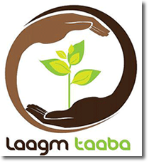 Laagm Taaba